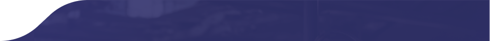pro_banner_vector